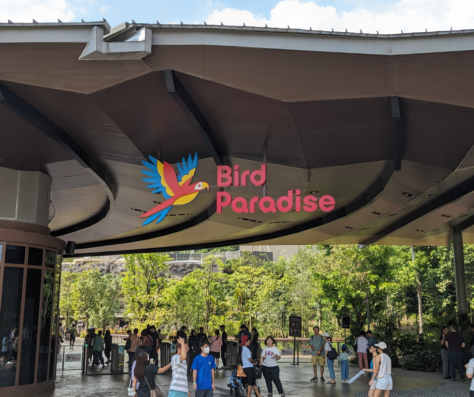 Mandai Bird Paradise Tour